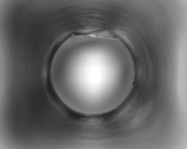 X0000088130539200706041321