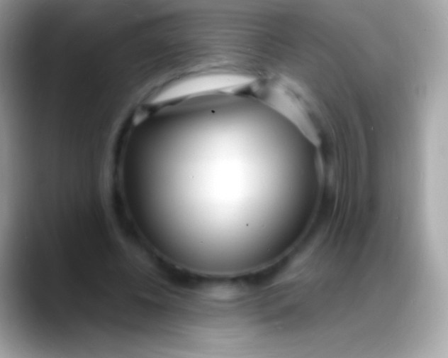 X0000088130540200706041321