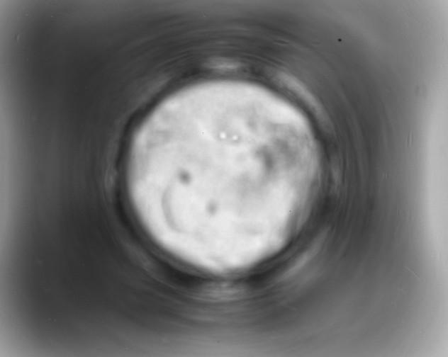 X0000088130541200706041321