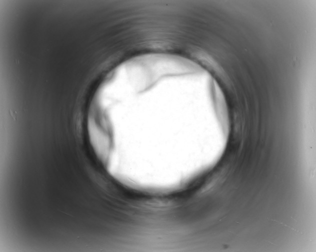 X0000088130542200706041321