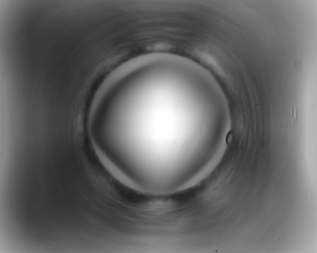 X0000088130543200706041321