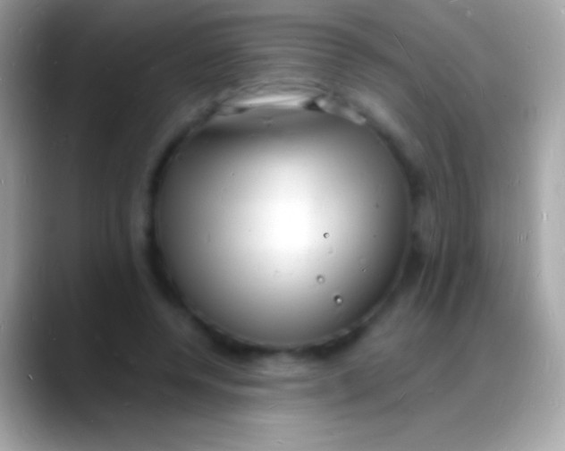 X0000088130544200706041321