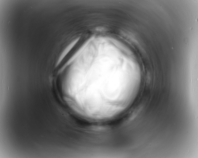 X0000088130545200706041321