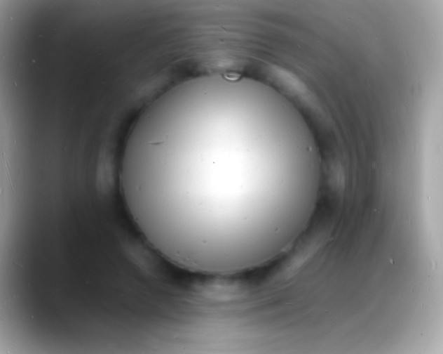 X0000088130546200706041321