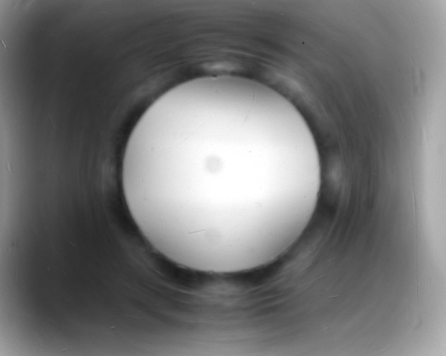 X0000088130547200706041321