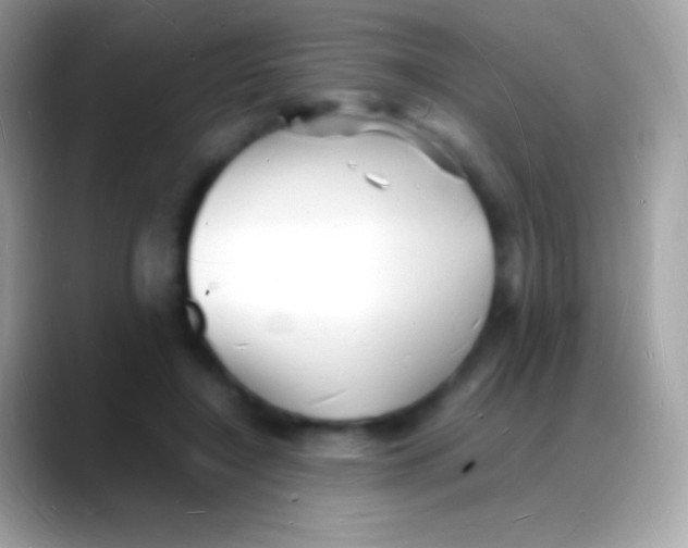 X0000088130548200706041321