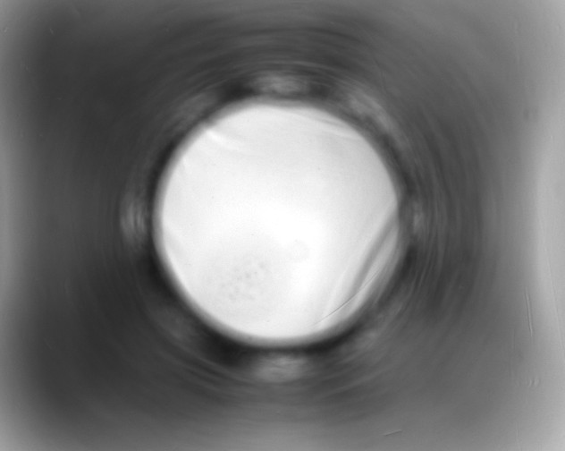 X0000088130549200706041321