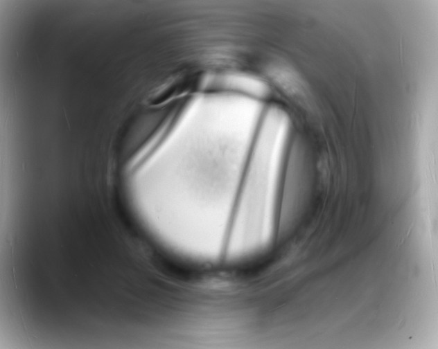 X0000088130550200706041321