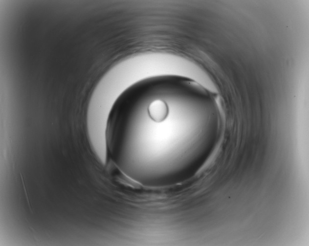 X0000088130552200706041321