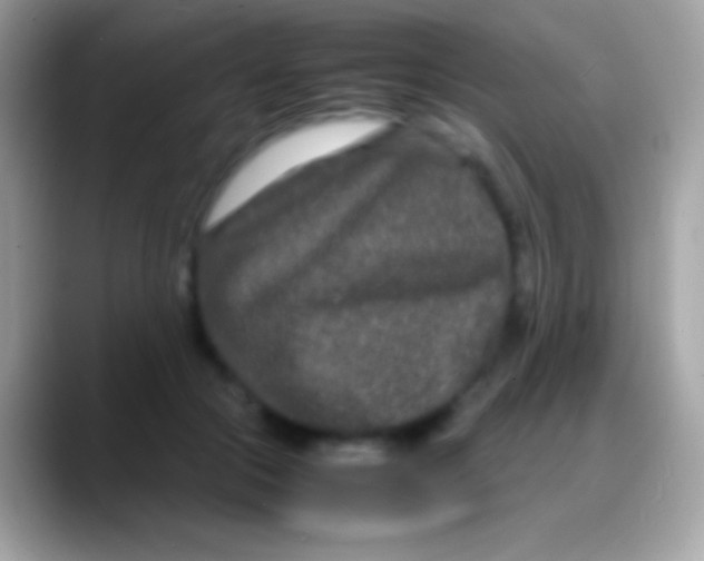 X0000088130553200706041321