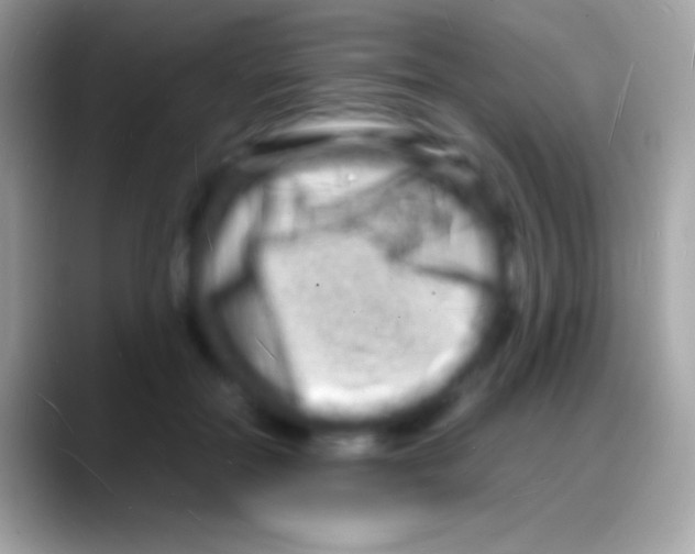 X0000088130554200706041321