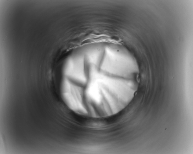 X0000088130555200706041321