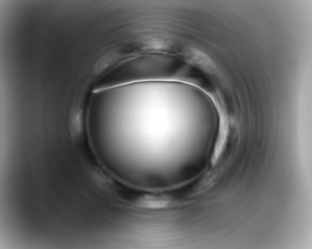 X0000088130556200706041321