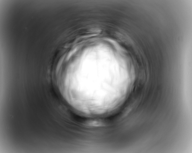 X0000088130557200706041321