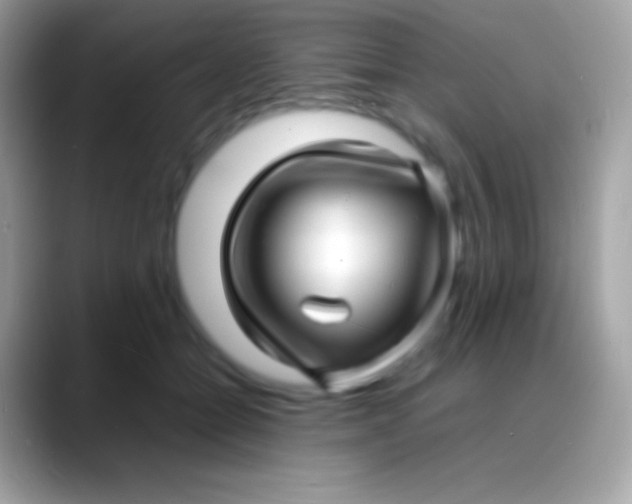 X0000088130558200706041321