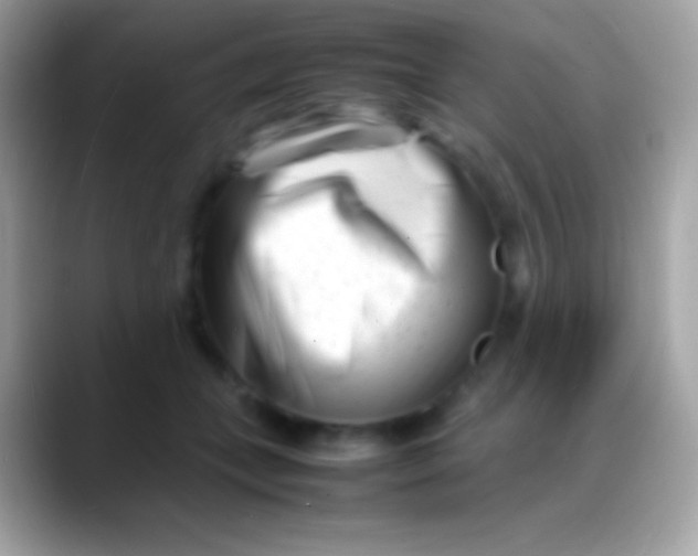 X0000088130559200706041321