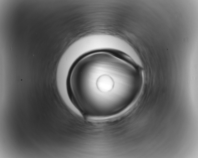 X0000088130560200706041321