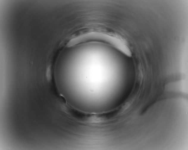 X0000088130562200706041321