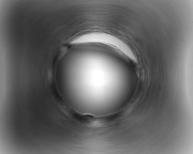 X0000088130564200706041321