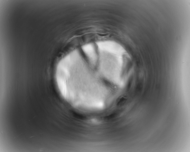 X0000088130565200706041321