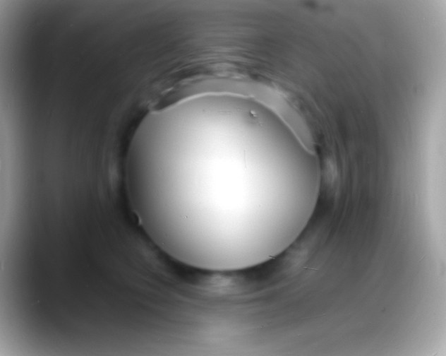 X0000088130566200706041321