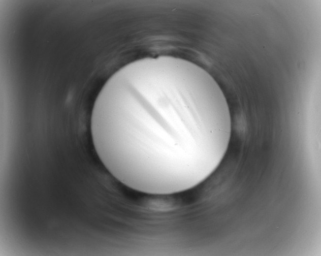 X0000088130567200706041321