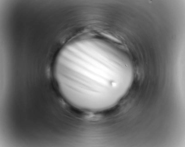 X0000088130568200706041321