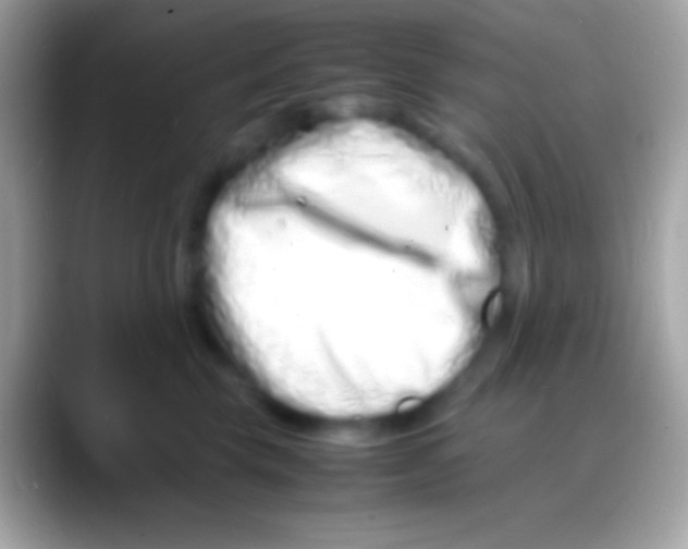 X0000088130569200706041321