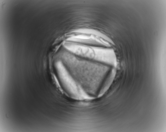 X0000088130570200706041321