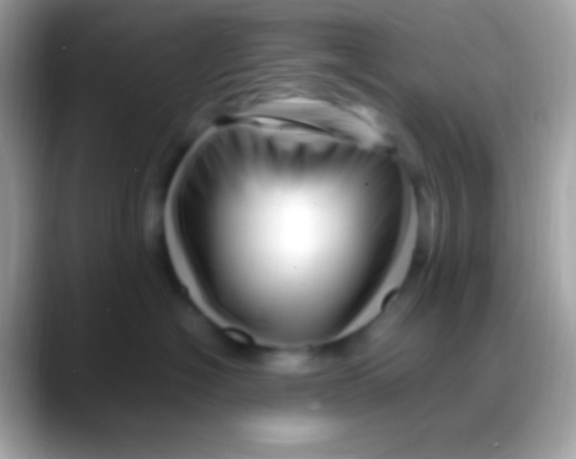 X0000088130574200706041321