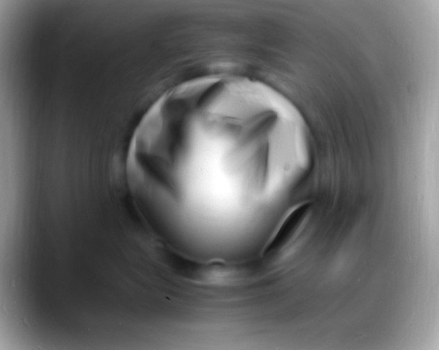 X0000088130575200706041321