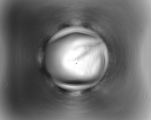 X0000088130576200706041321