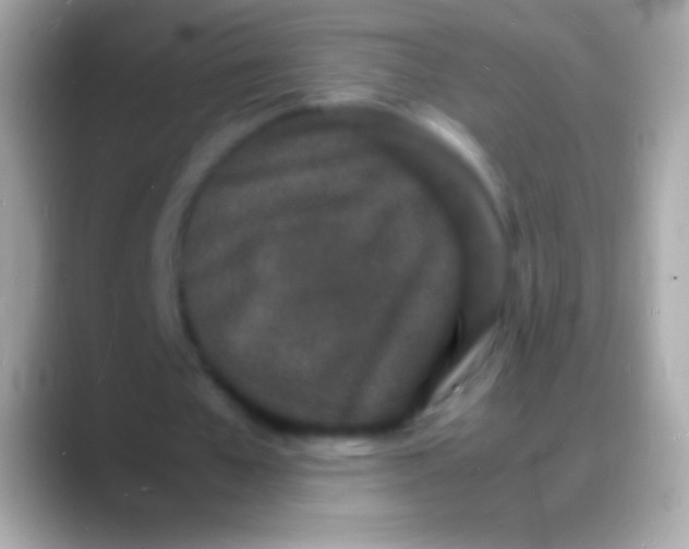 X0000088130577200706041321