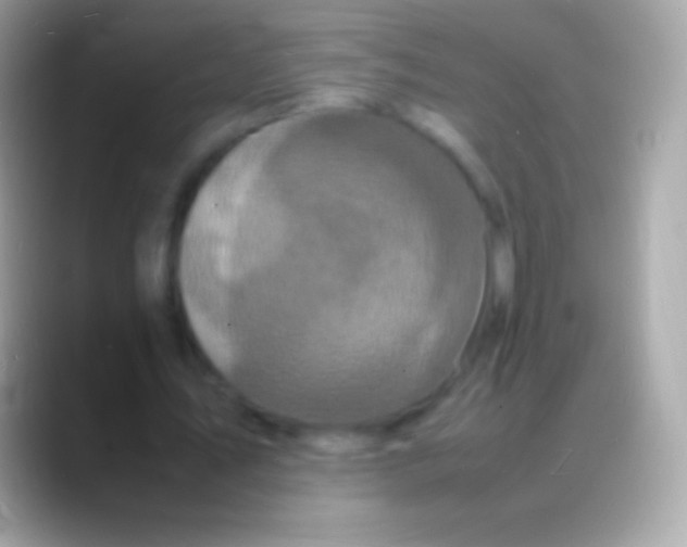 X0000088130579200706041321