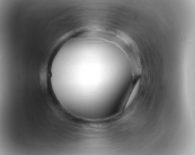 X0000088130580200706041320