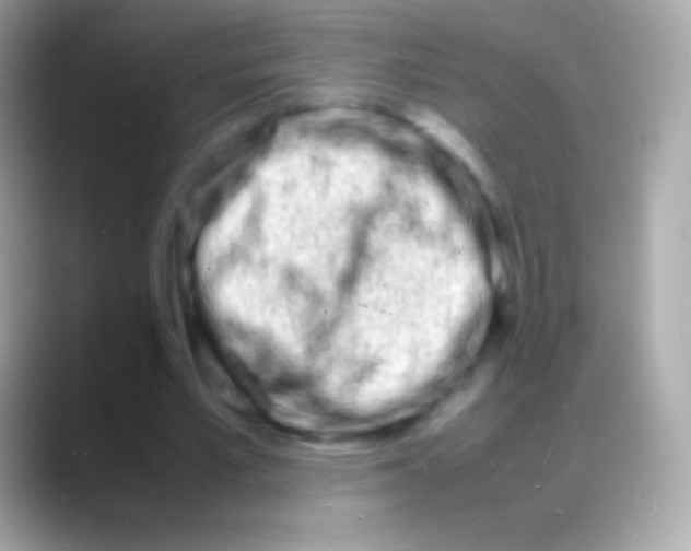 X0000088130581200706041320