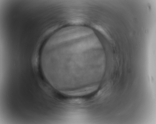 X0000088130583200706041320