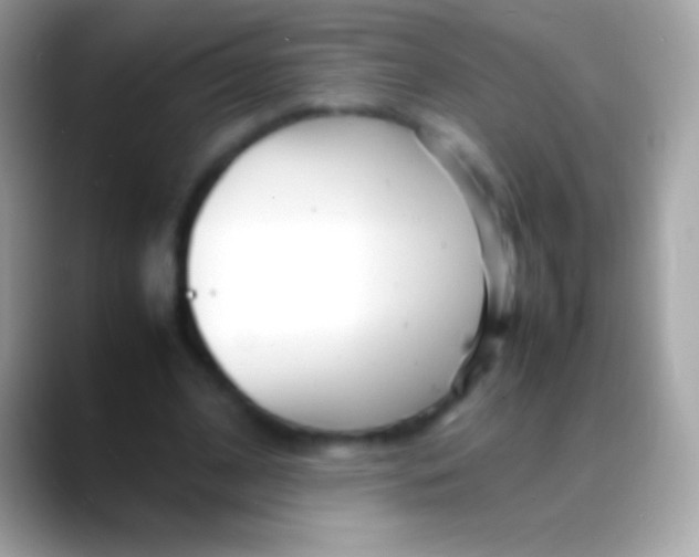 X0000088130584200706041320