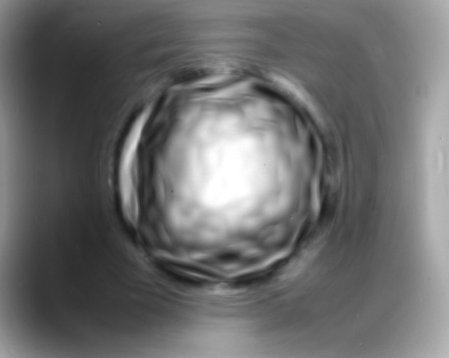 X0000088130585200706041320