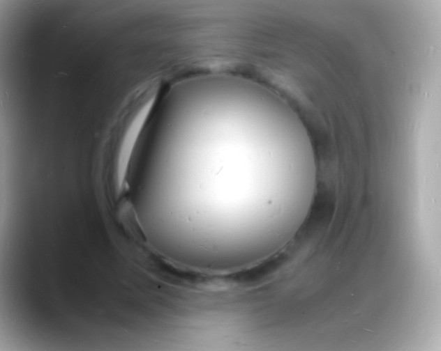 X0000088130587200706041320