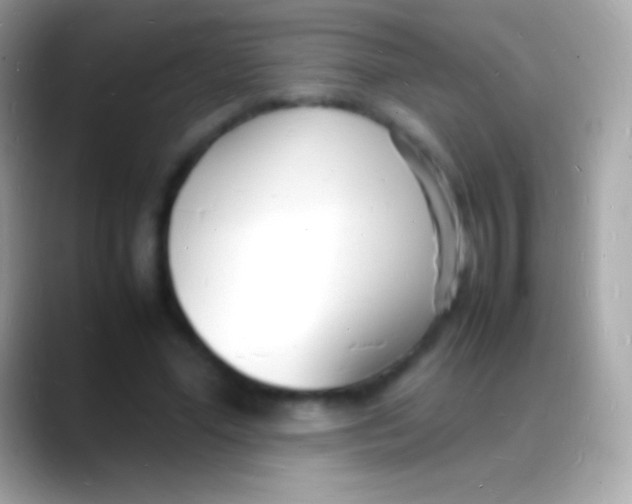 X0000088130588200706041320