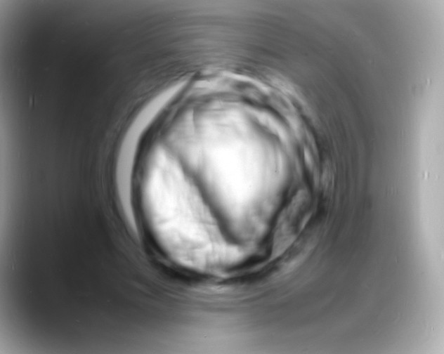 X0000088130589200706041320