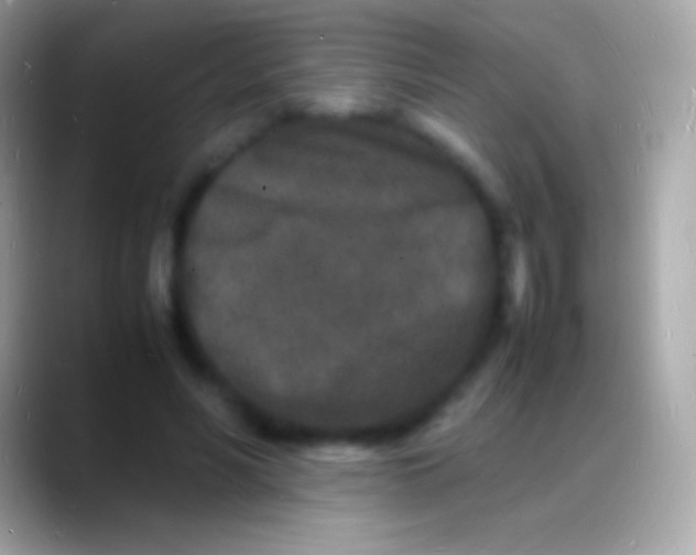 X0000088130590200706041320