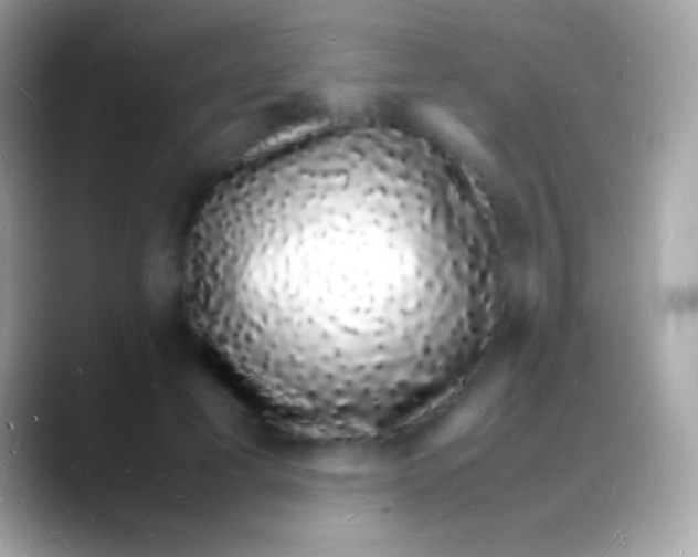 X0000088130593200706041320