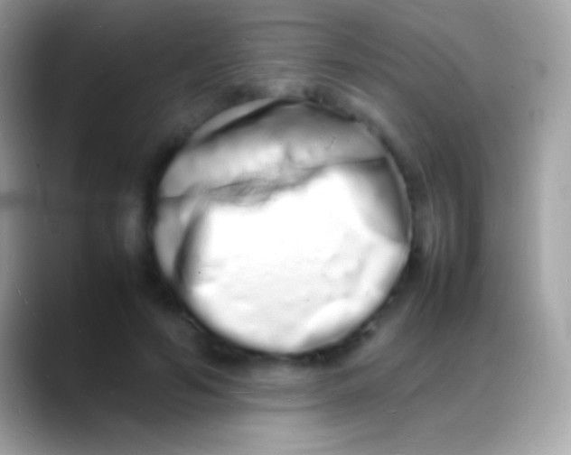 X0000088130594200706041320