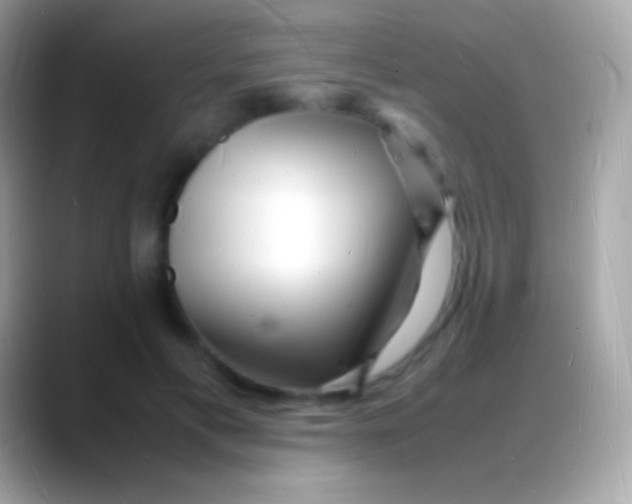 X0000088130597200706041320