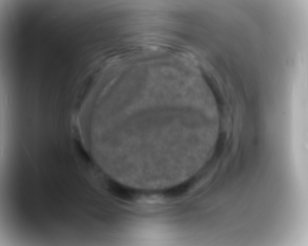 X0000088130599200706041320