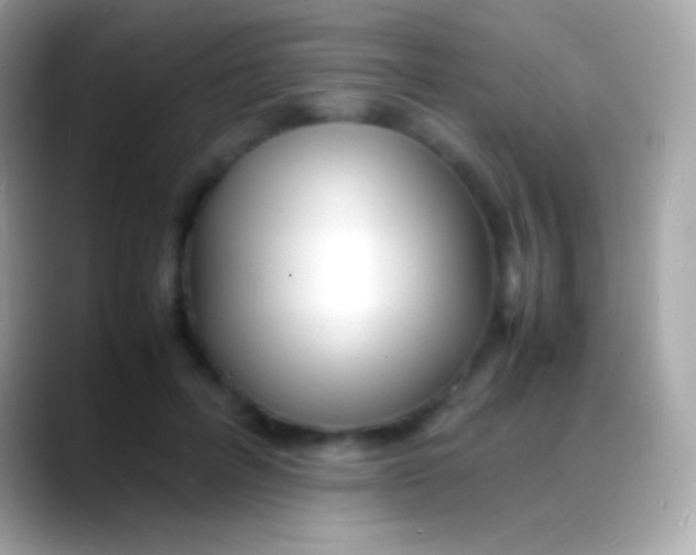 X0000088130600200706041320