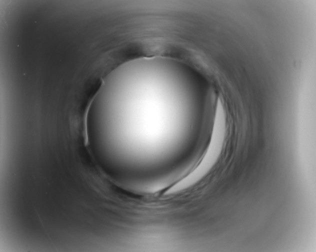 X0000088130601200706041320