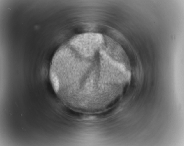 X0000088130602200706041320